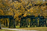 TREES AND A TRAIN TRESTLE