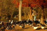 TITC - TWO-FER...D IS FOR DUCKS AND HES BREAKING THE RULES