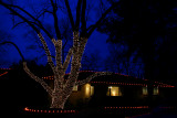 LIGHTS AT DUSK