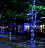 BLUE LIGHT SPECIAL