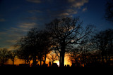 TOMBSTONE SUNSET