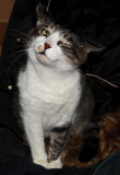 ZEKE WINKING AT ME