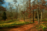 HEADING DOWN THE ROAD TO SPRING