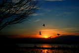 FLYING AROUND THE SUN