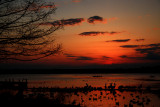 SPRING SUNSET