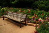 SIT DOWN AND ENJOY