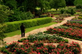 SECURITY AND ROSES