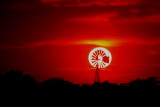FRAMED BY THE SUN