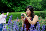 SHOOTING THE FLOWERS