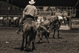 TEAM ROPING COUPLE