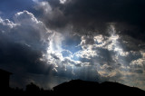 LET THE SUNSHINE IN