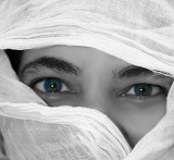 SECLUDED EYES
