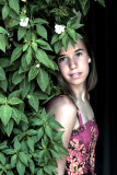 IN THE VINES
