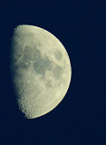 AUGUST MOON