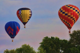 THREE BALLOONS GOING OVER THE TREES