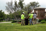 MAINTAINING THE LANDSCAPE