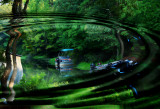 BOATS IN WATER
