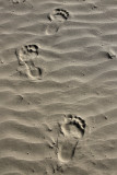 MY FOOTPRINTS IN THE SAND