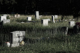 A NATURAL PART OF LIFE IS DEATH