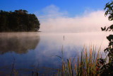 MISTY REFLECTIONS
