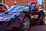 PURPLE LOTUS