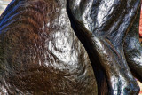 WHAT IS IT - IMAGE 2 - SET 6