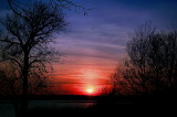 BIRDS AND THE SUNSET