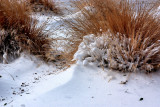 ALONG THE MEDIAN