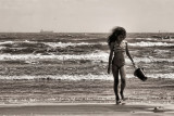 LOOKING FOR SHELLS