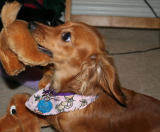 WANNA PLAY MOM