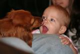 GETTING KISSES