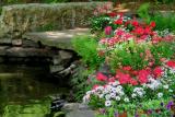 COLOR IN THE PARK