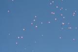 RELEASING 1000 PINK BALLOONS