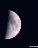 HALF MOON IN MAY