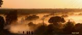 DUST IN THE LOWLAND