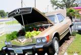 MERCEDES PLANTER