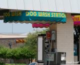WHAT WILL THEY THINK OF NEXT??  DOG WASH AT THE CARWASH!!