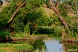 MARINE CREEK LAKE COVE