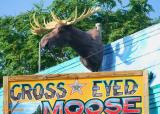 THE CROSS EYED MOOSE