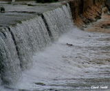 SPILLWAY FUN FOR A DUCK