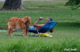 COME ON DAD, LET ME GO AND PLAY