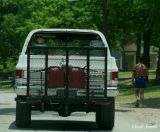 GOT GAS???