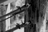 THE LAST SHOT BUT IN B&W