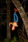 BIG WOODY GETS STRUNG UP