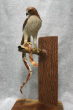 CATEGORY 6A2 - BIRD GROUP - ARTIST, CAL STEWART
