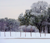 A SNOWY SCENE WITH A TOUCH OF COLOR, LOL!