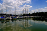 THE MARINA
