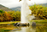 Old Faithful Geyser - Calistoga, CA