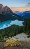 Canadian_Rockies-15.jpg