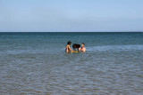 Surfing Off Anglesey